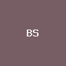 BSW
